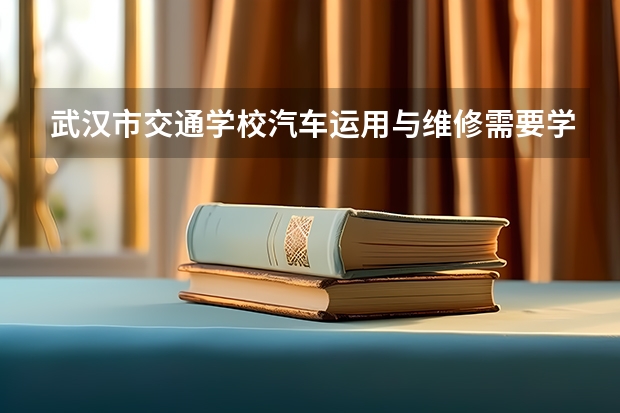 武汉市交通学校汽车运用与维修需要学哪些课程及专业能力要求