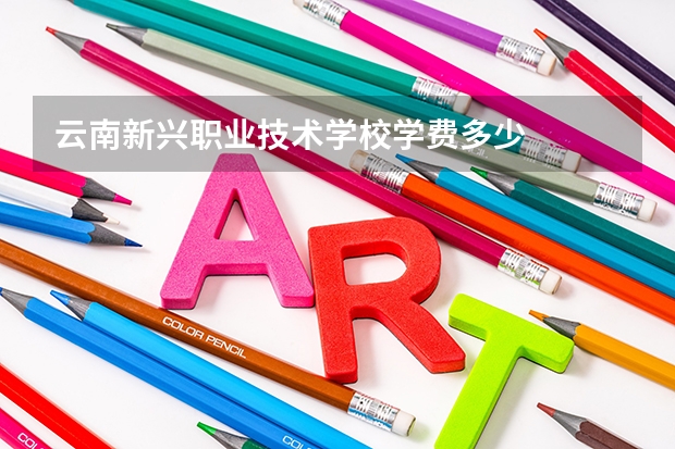 云南新兴职业技术学校学费多少