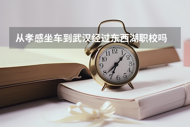 从孝感坐车到武汉经过东西湖职校吗