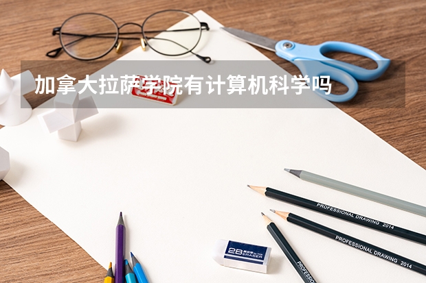 加拿大拉萨学院有计算机科学吗