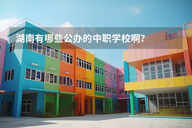 湖南有哪些公办的中职学校啊？