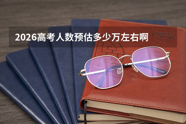 2026高考人数预估多少万左右啊