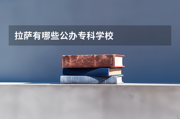 拉萨有哪些公办专科学校