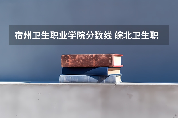 宿州卫生职业学院分数线 皖北卫生职业学院是公办还是民办大学？