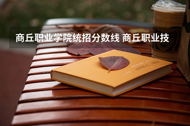 商丘职业学院统招分数线 商丘职业技术学院录取分数线