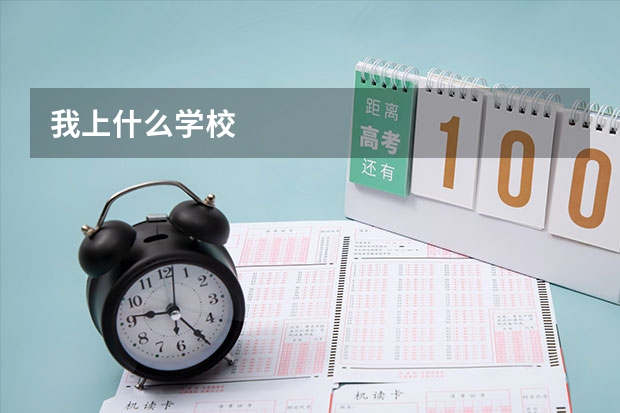 我上什么学校