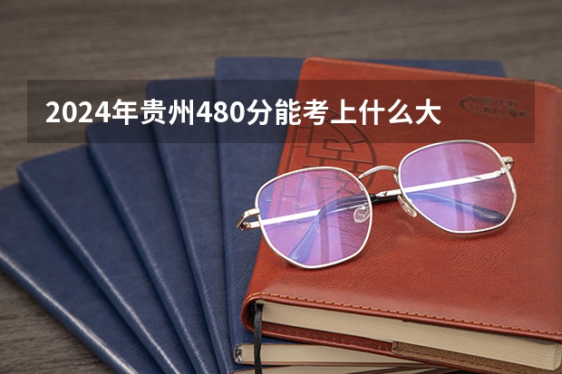 2024年贵州480分能考上什么大学?