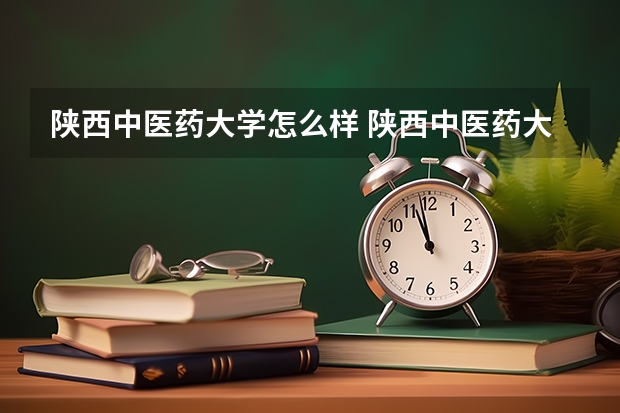 陕西中医药大学怎么样 陕西中医药大学排名多少